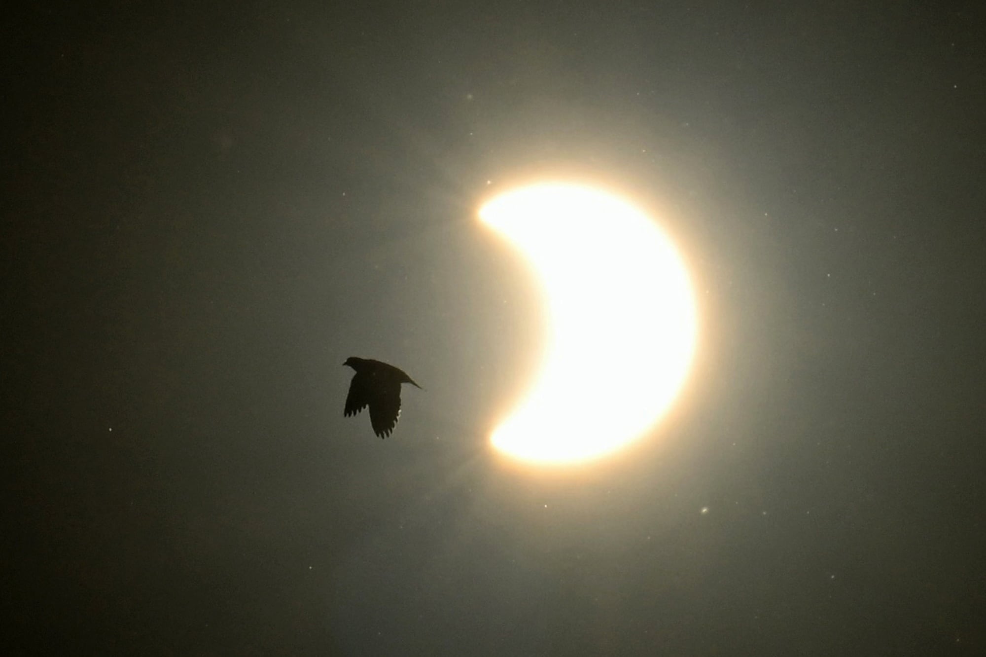Habrá dos eclipses en marzo y uno se verá desde la Argentina: a qué hora y cuándo será​