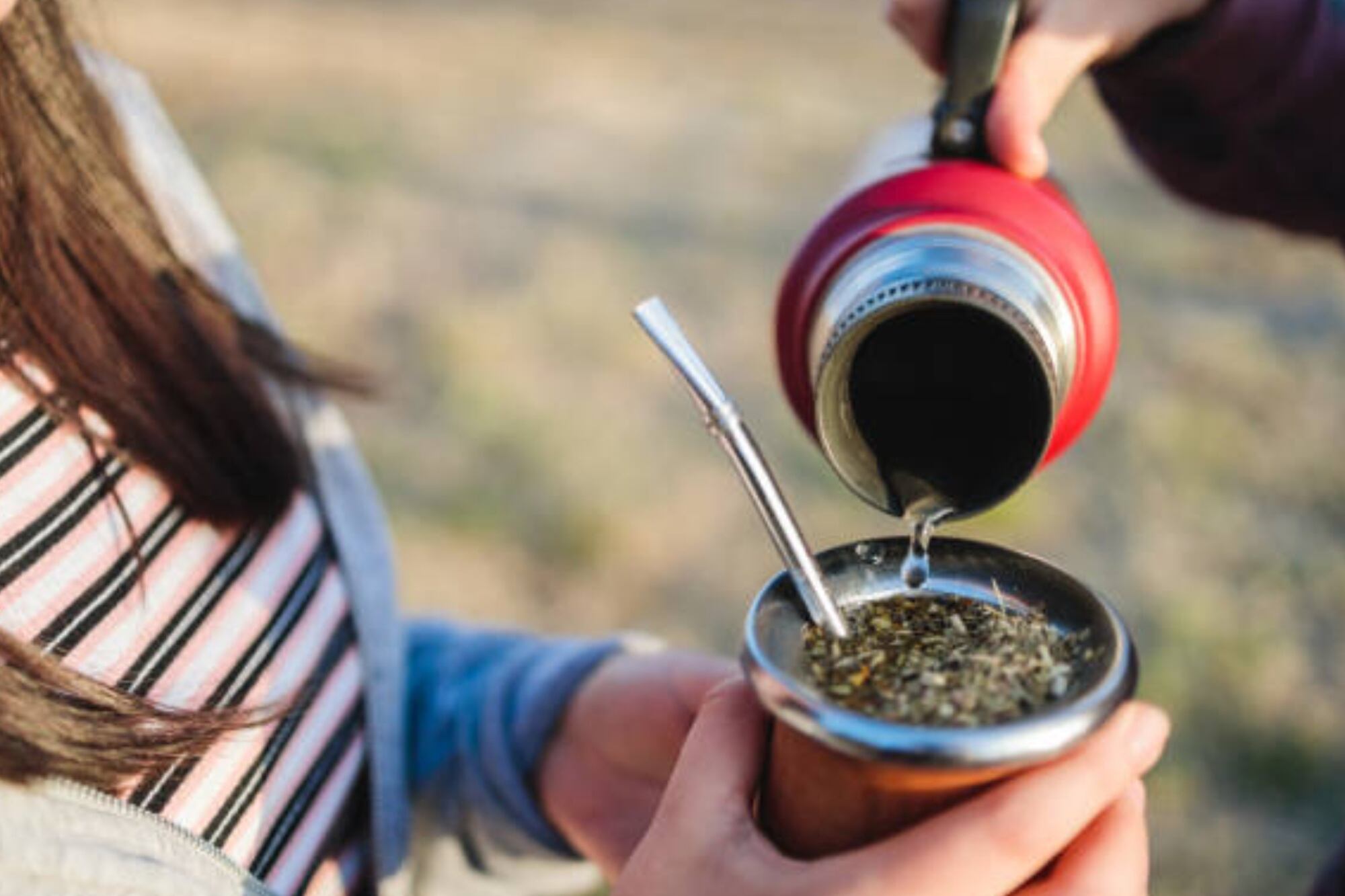 Cuál es la fruta que es ideal para sumar al mate y tener energía durante todo el día​