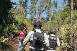 Mercenarios colombianos entrenan a sicarios en México: revelan su rol clave en la violencia narco​