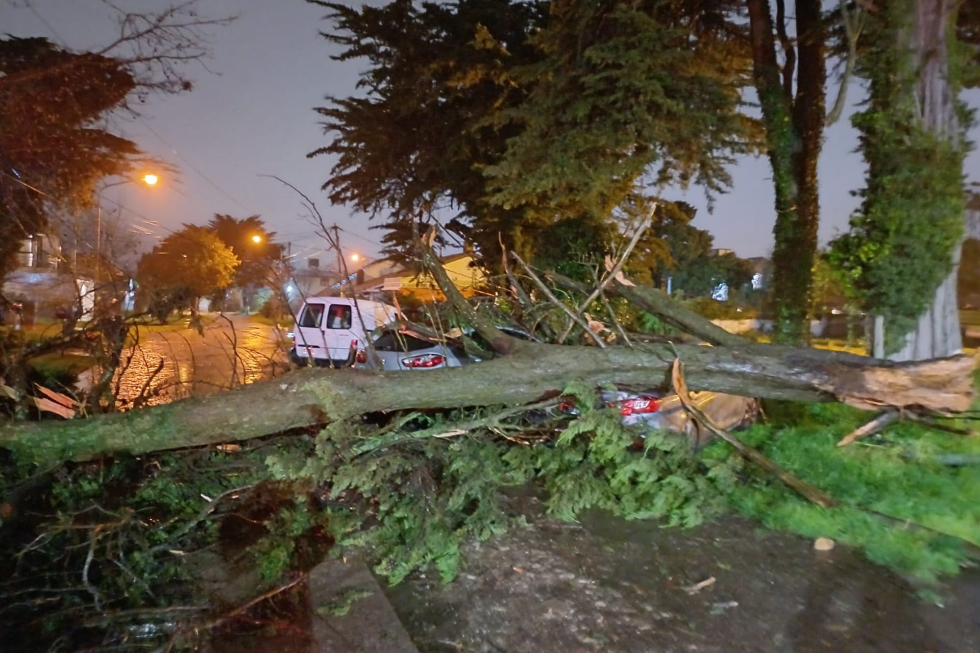 Hubo alerta naranja: el temporal dejó un caos de daños y complicaciones en Mar del Plata​