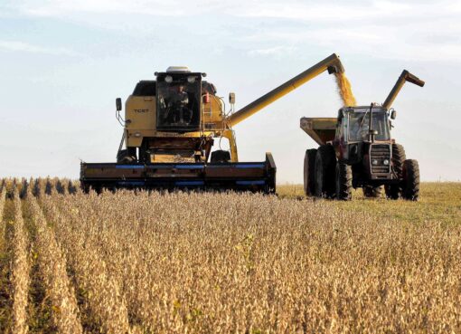 Tras el aluvión: al campo le queda soja por US$3000 millones y prevén una desaceleración de los negocios