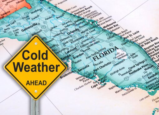 Nuevo frente frío llega a Florida: ¿cuánto bajará la temperatura en Orlando?